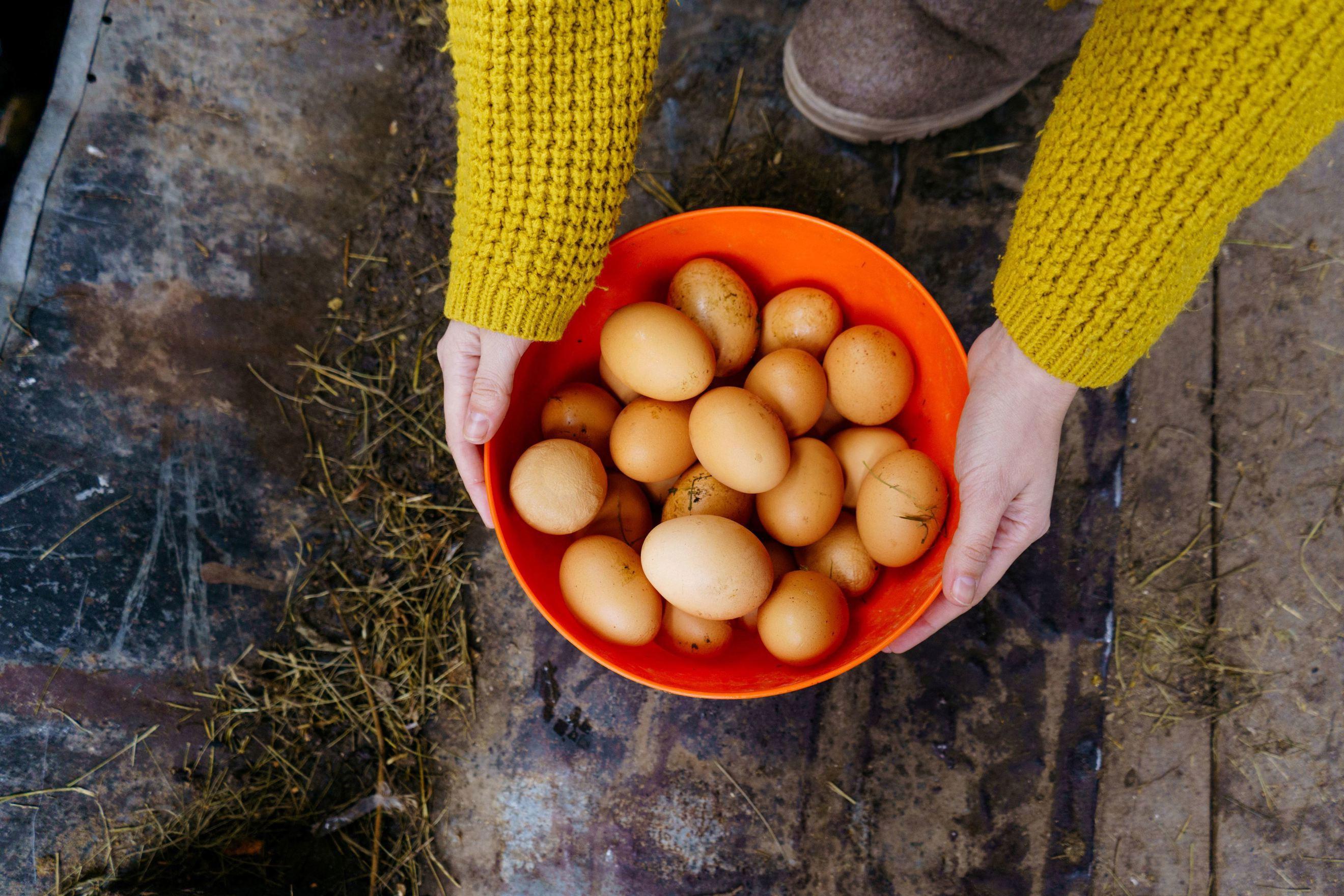 6 Eggs