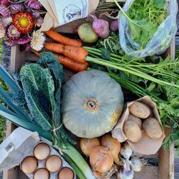 Image of Standard Box