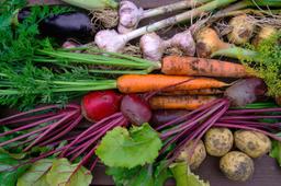 Image of Small Veg Box