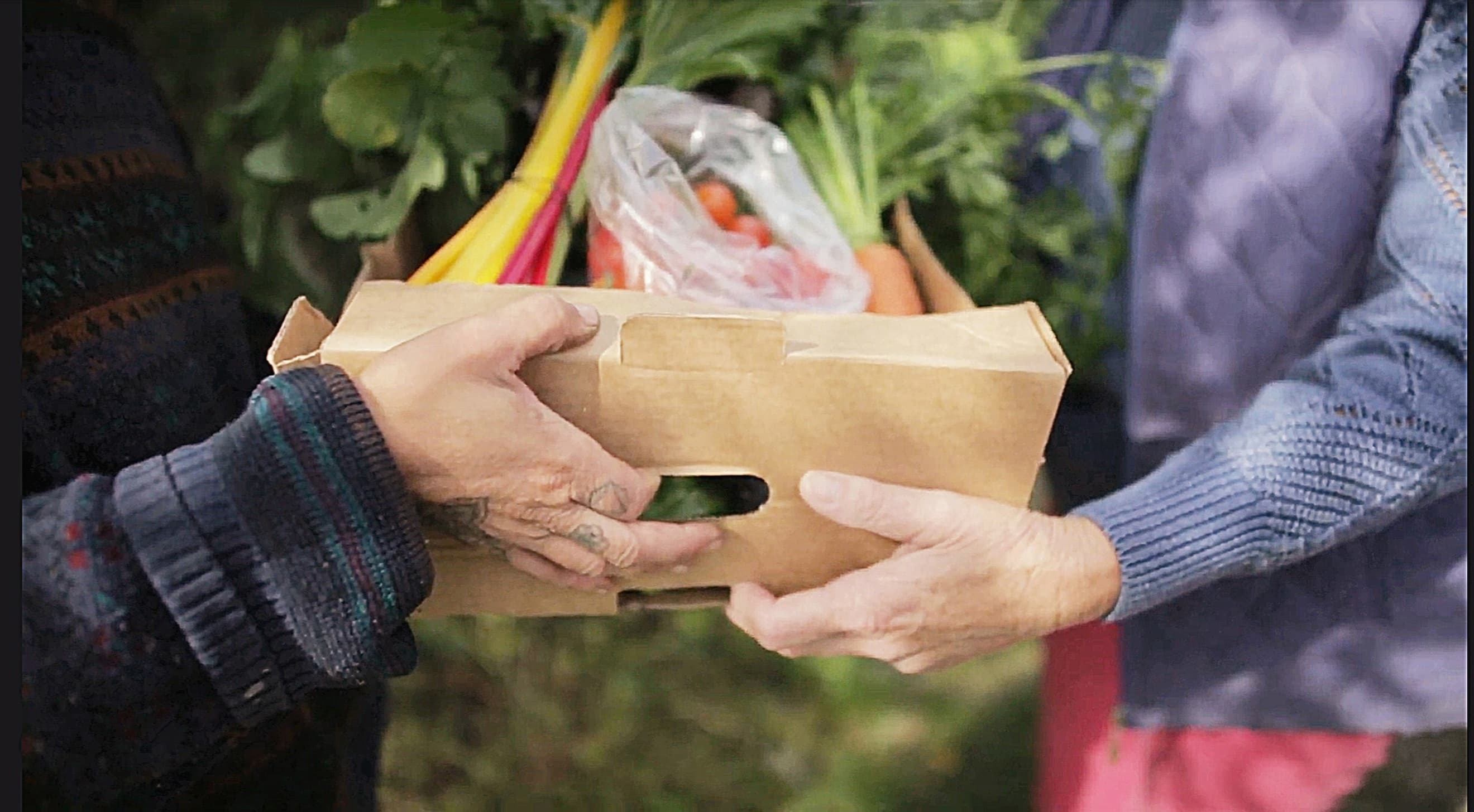 'Pay it forward' Veg boxes